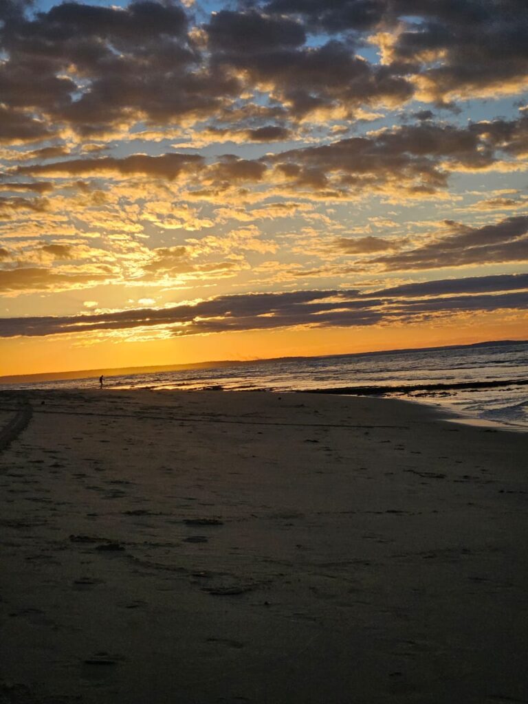 IMG-20250324-WA0006